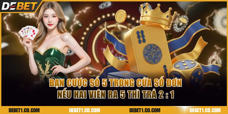 Bạn cược số 5 trong cửa số đơn nếu hai viên ra 5 thì trả 2 : 1